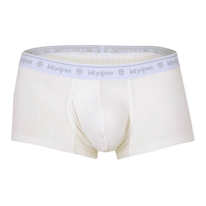 White boxer briefs with a white logo waistband.